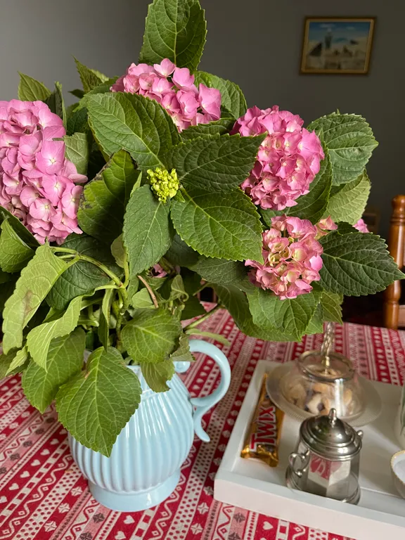 Уютный домик на берегу моря