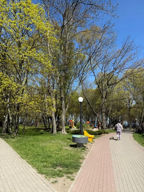 Квартира Уютная квартира с видом на море — Пионерский