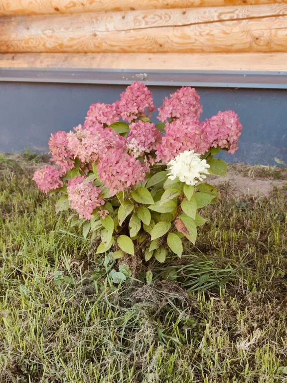 Уютный гостевой дом на берегу большого озера