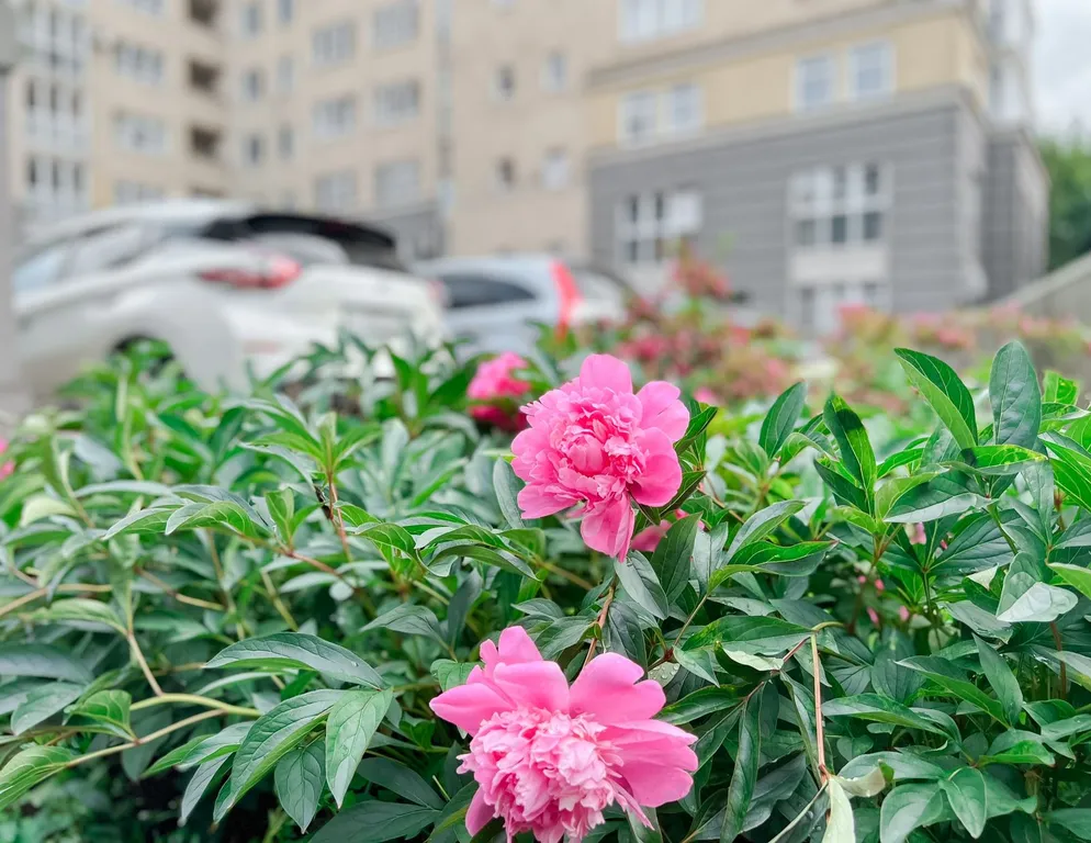 Уютная квартира в центре города в ЖК Римский Дом