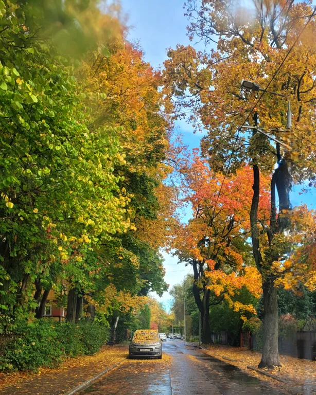 Квартира Эксклюзивный номер-люкс для двоих — Калининград