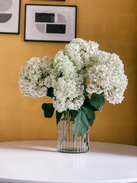 Квартира Однокомнатная квартира в центре города, рядом с вокзалом — Великий Новгород