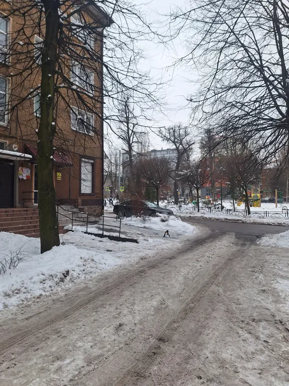 Квартира Уютная квартира возле Филармонии — Калининград