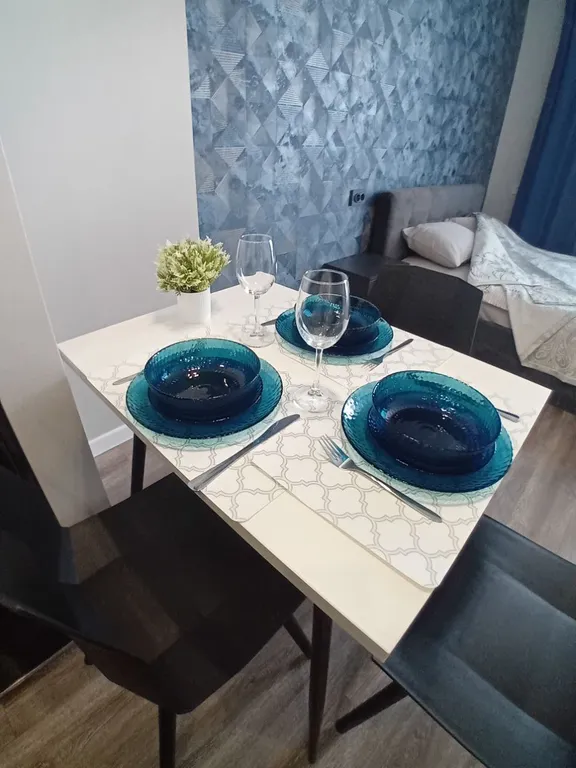 Студия в центральном районе с новым ремонтом