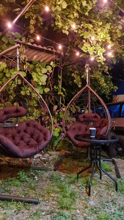 Апартаменты на Черном море с выходом в Карликовую рощу