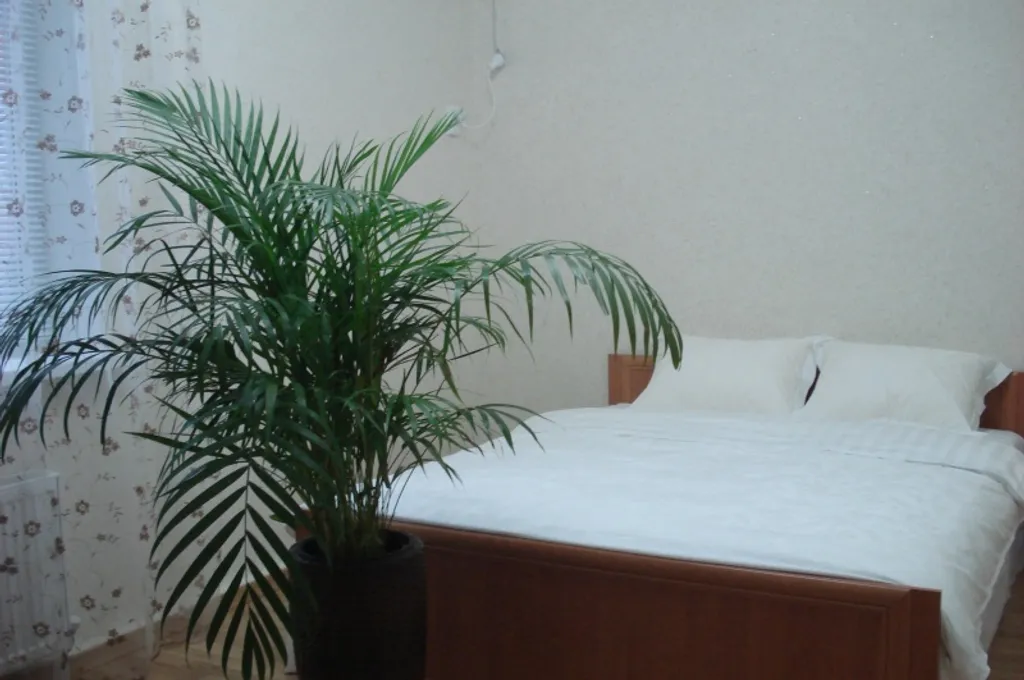 Квартира Уютные апартаменты — аренда посуточно в Белореченск