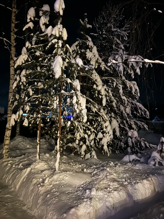 Домик с сауной