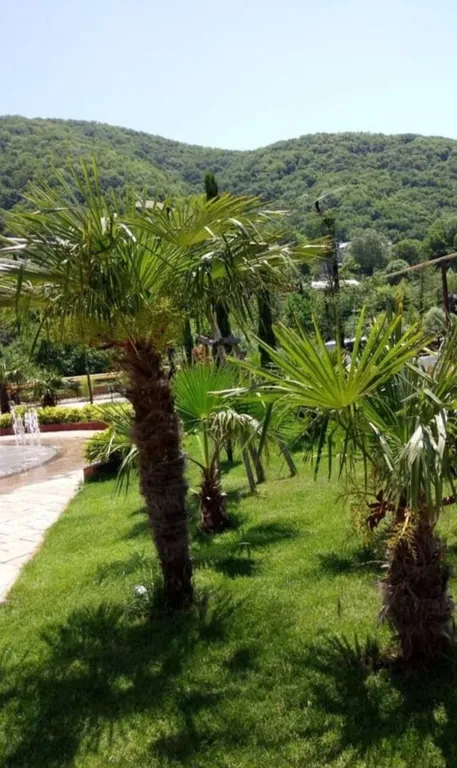 Студия с изумительным видом из окна на реку и горы