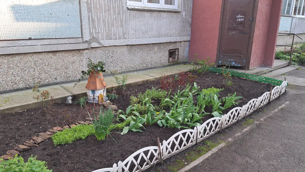 Квартира Уютная квартира в тихом и зеленом районе — Калининград