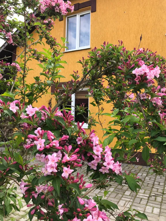 Усадьба Царское село