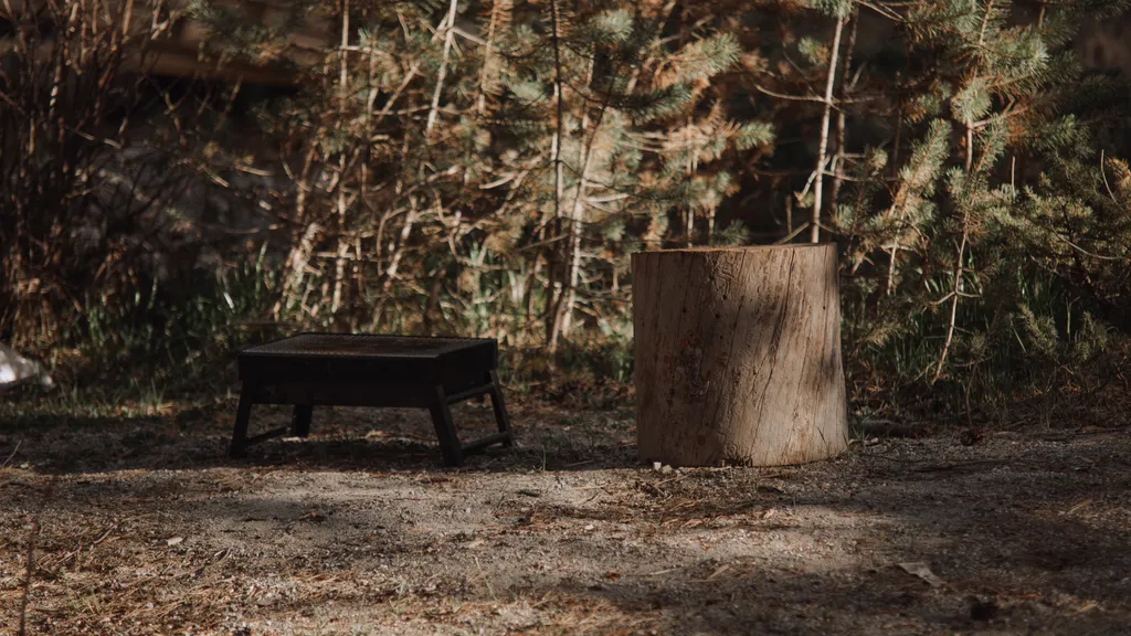 Апартаменты в лесу, с видом на горы