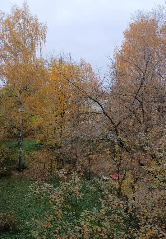 Уютный уголок для вашего отдыха