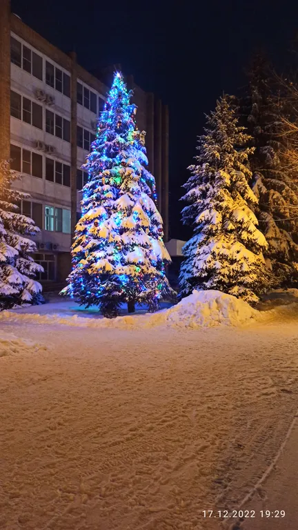 Элитный апартамент в лесу