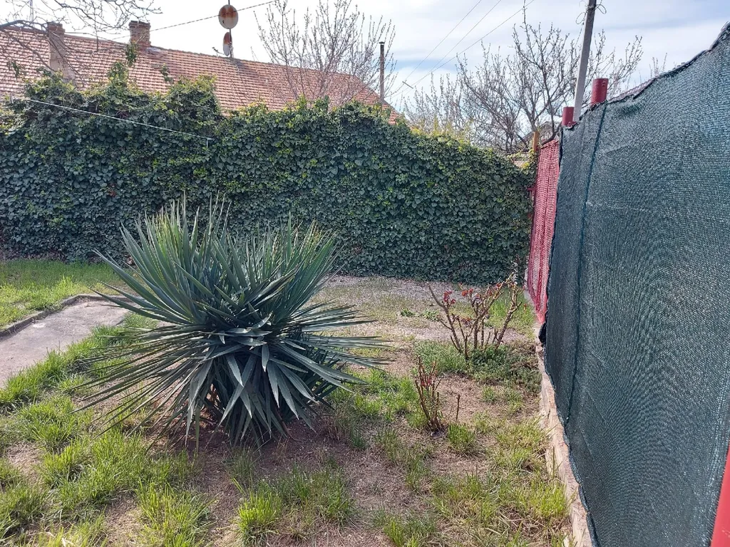 1-комнатная квартира со своим зеленым двориком в тихом центре