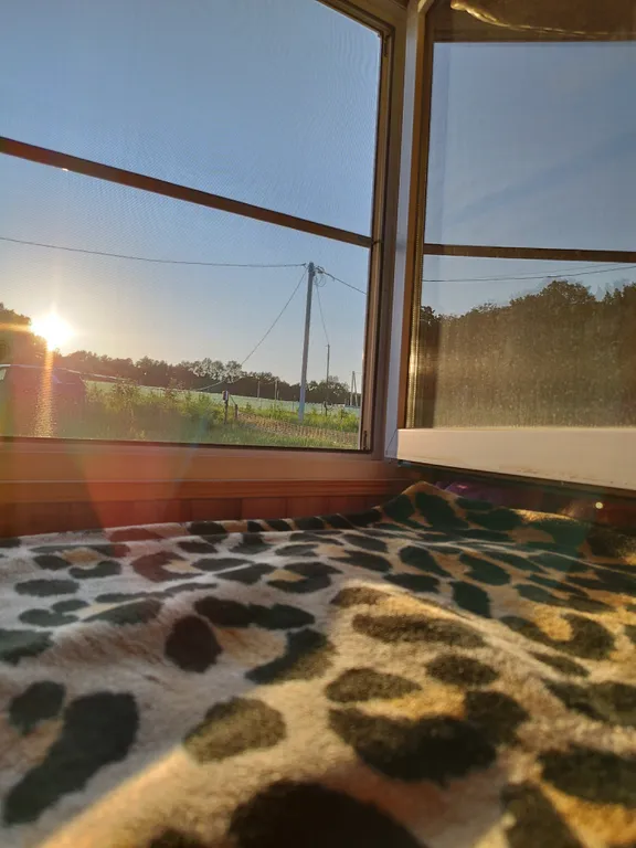 Уютный модульный домик в горах