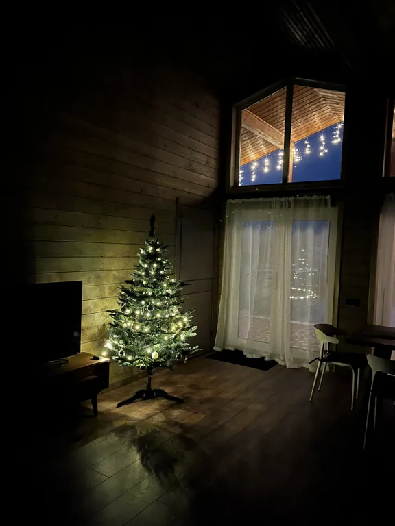 Дом в прибрежном парке