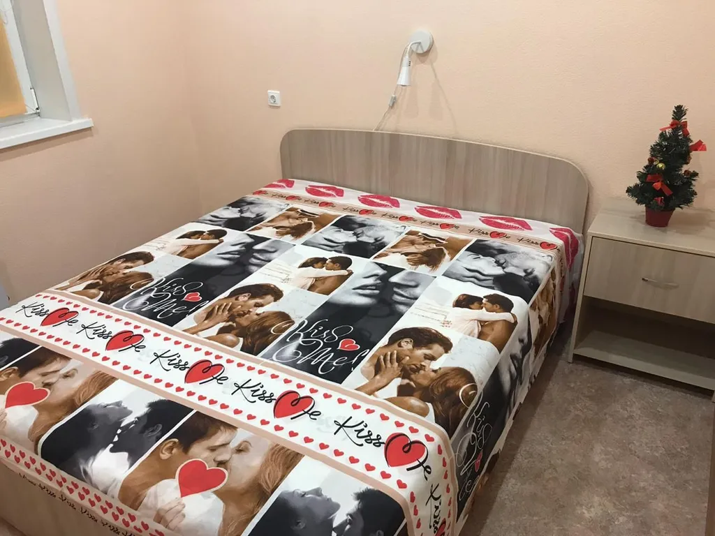 Квартира Уютная комната с двуспальной кроватью — аренда посуточно в Красноярск