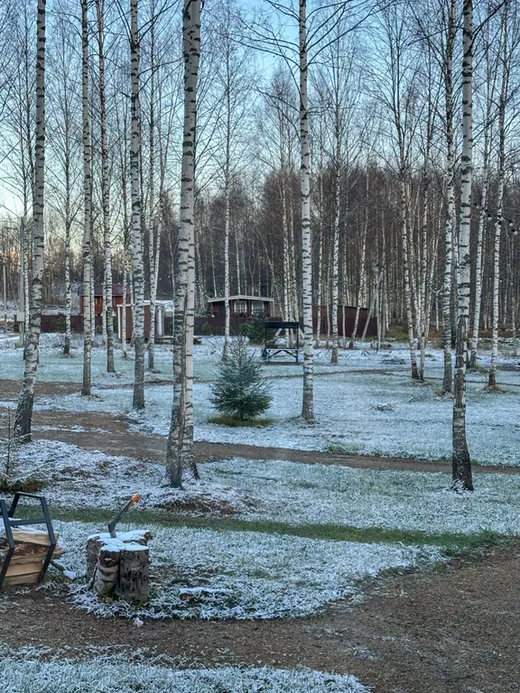 Уютный дом нa бeрегу лесногo озeра