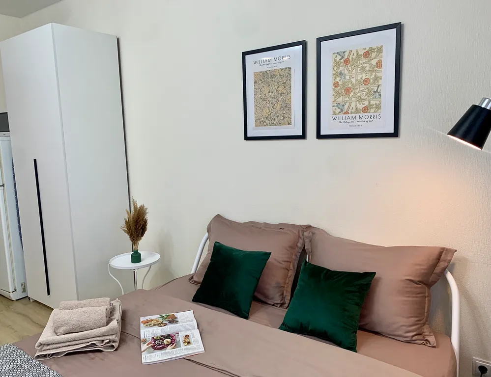 Уютная студия в Новоселье