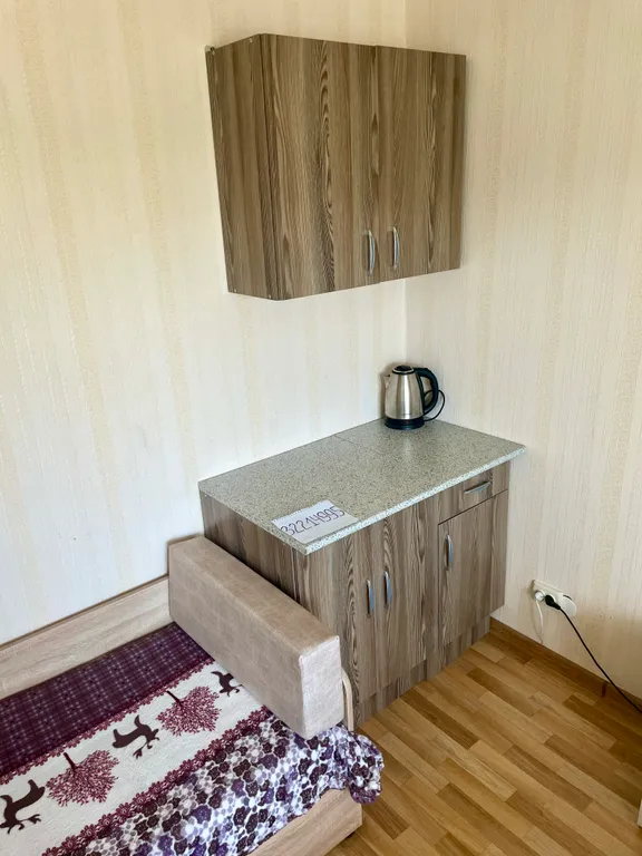 Квартира-студия в Любимовке