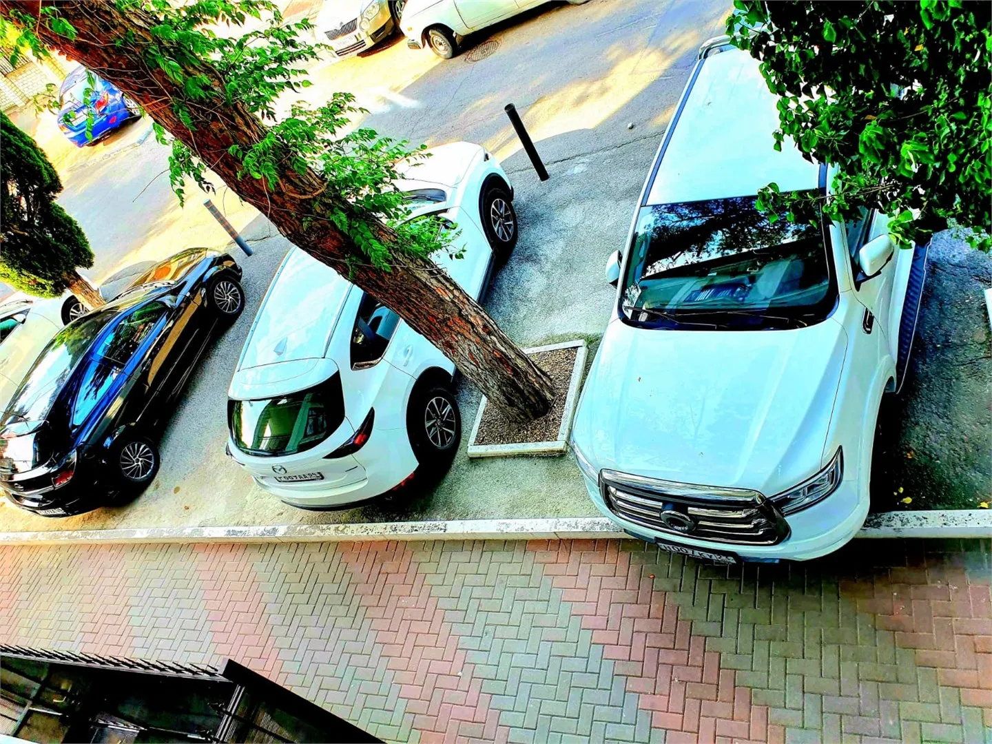 Фото
