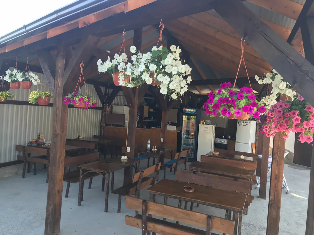 Отдых в Абхазии у моря