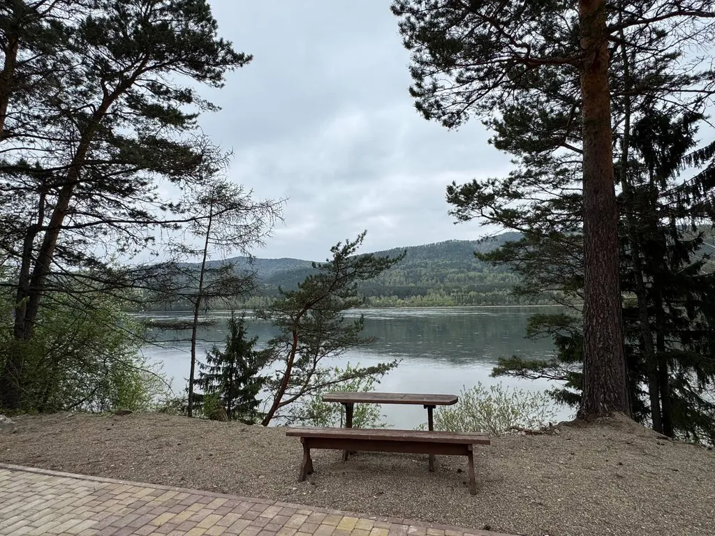 Идеальный отдых на берегу Енисея