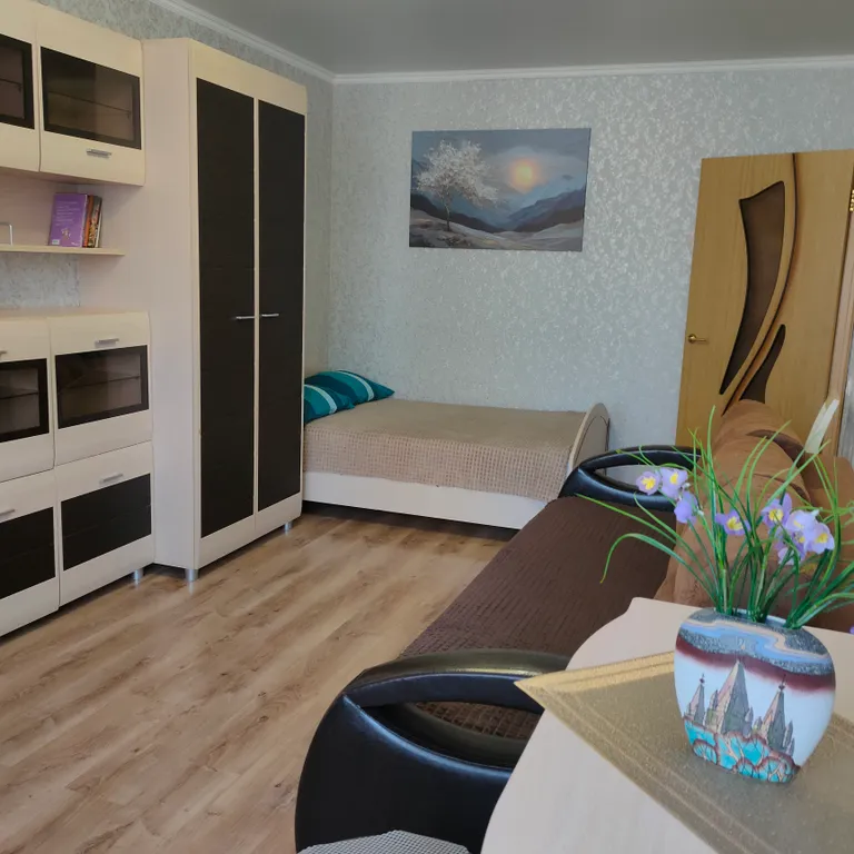 Однокомнатная квартира в центре Оренбурга — аренда посуточно в Оренбург