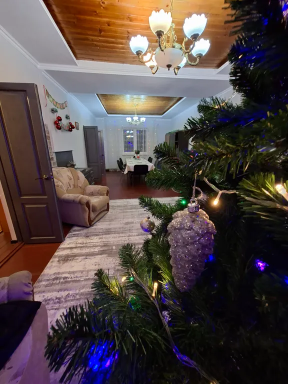 Гостевой дом возле термального источника по дороге на курорт Мамисон