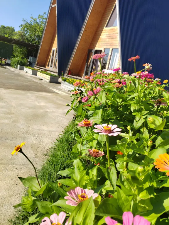 2-этажный деревянный коттедж