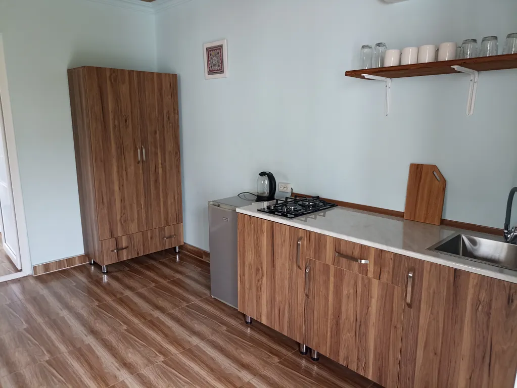 Уютные апартаменты Levan White house