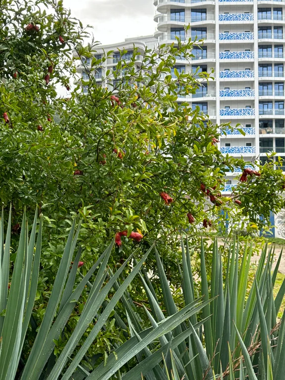 Квартира с видом на море