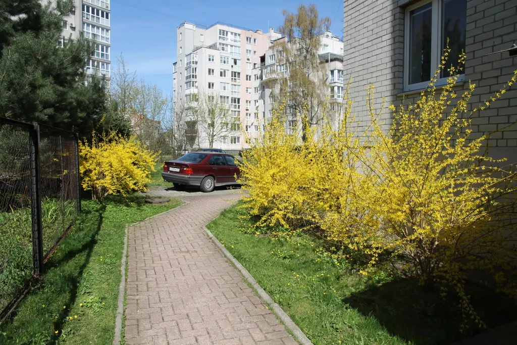 Квартира Большая квартира в центре у Верхнего озера — Калининград
