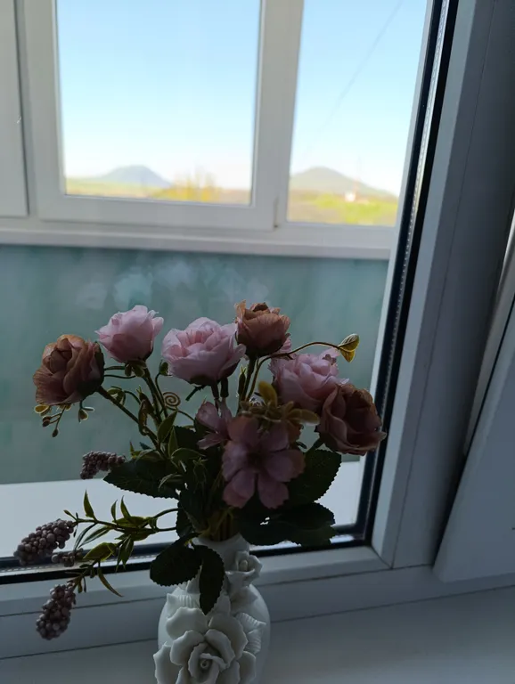 Уютная квартира с видом на горы в центре города