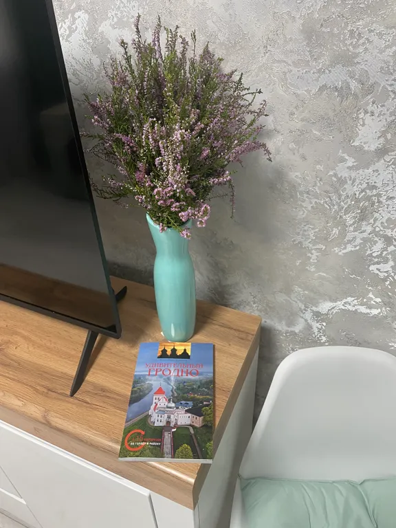 2-комнатная квартира Mint Lux в историческом центре