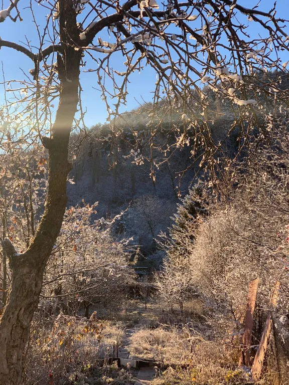 Джилысу transit дача в сосновом бору