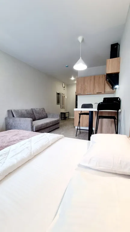 Квартира Художественные апартаменты — Анапа