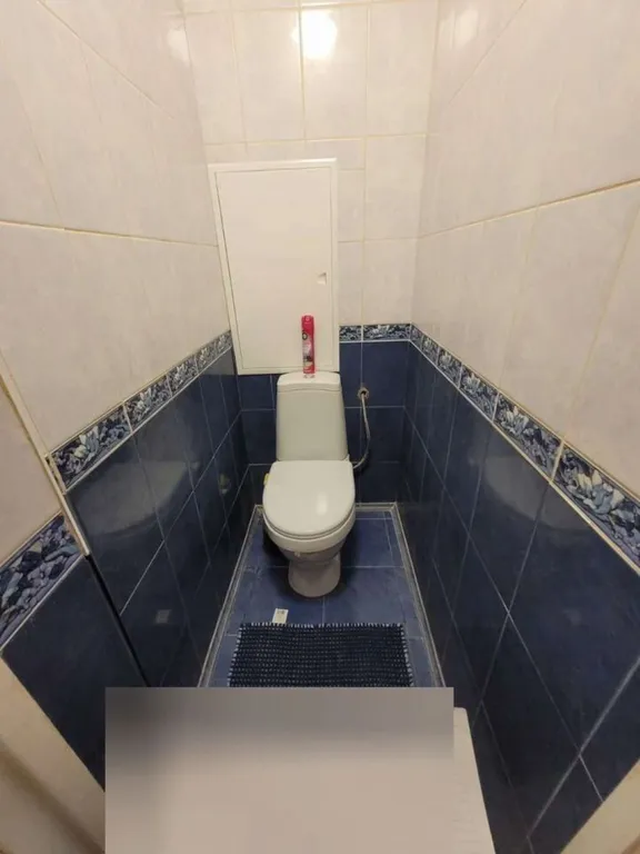 Уютная квартира нa сaмом беpeгу oзeрa Ceнeж