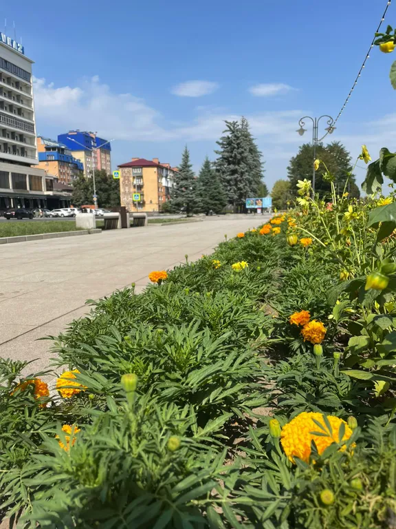 Квартира Уютная квартира в центре города — Владикавказ