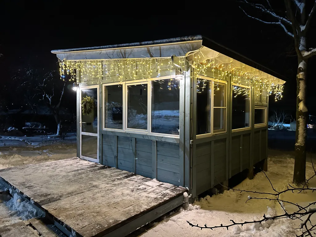 Дубки на Кудыкиной горе