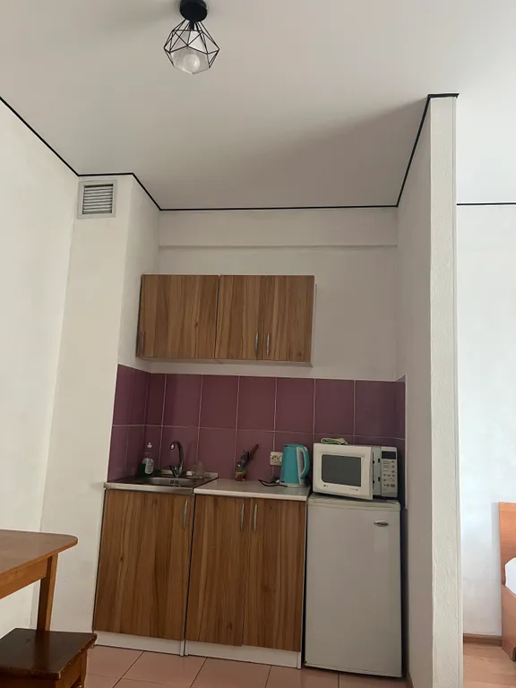 Уютная квартира студия в центре Алматы