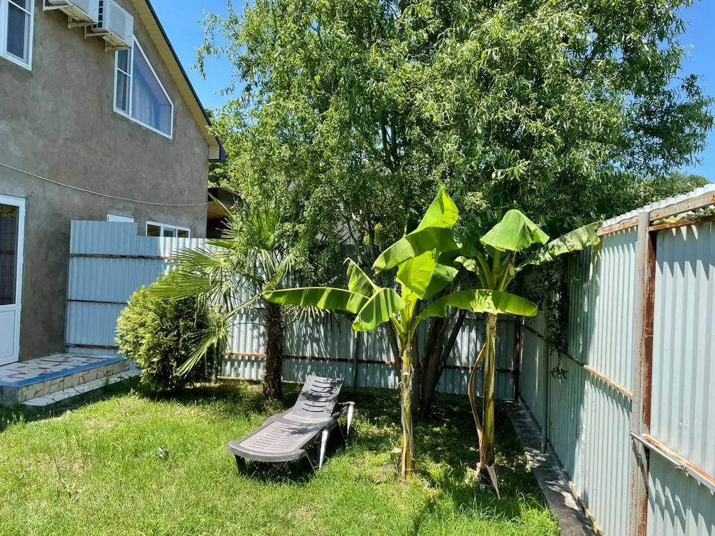 Уютный домик у моря в единственном лиановом лесу в России