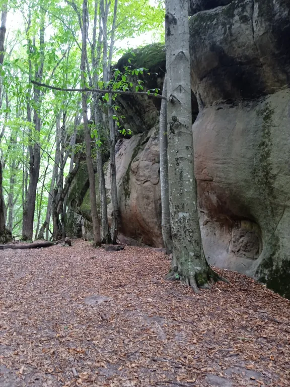 Номер в гостевом доме