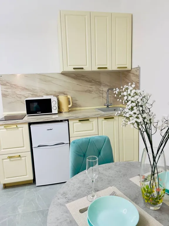 Студия рядом с Концертным залом