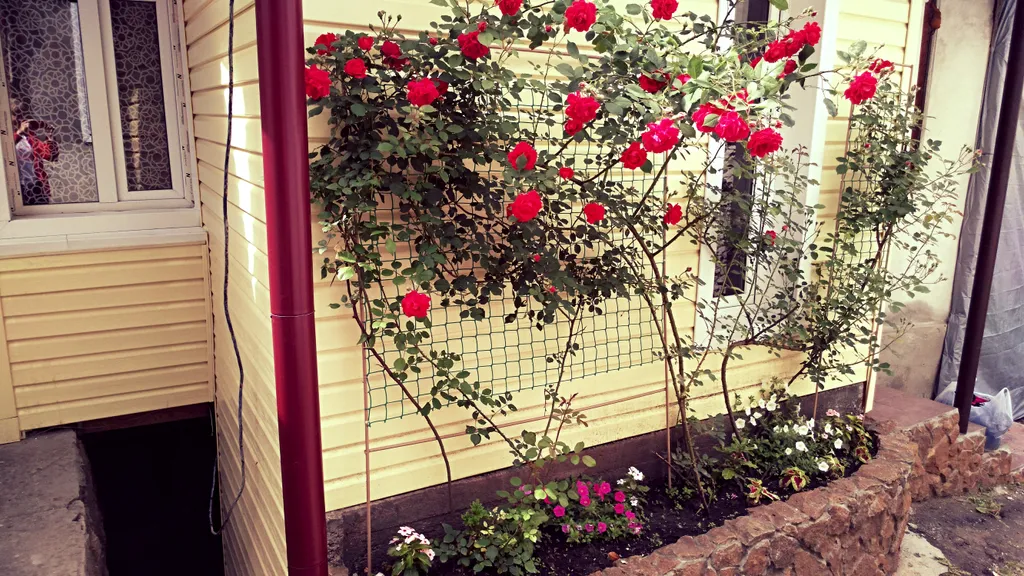 Уютная квартира возле парка