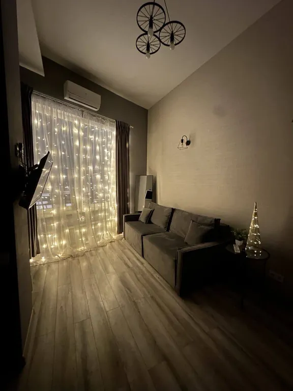 Уникальные апартаменты с выходом на кровлю ТЦ Галерея