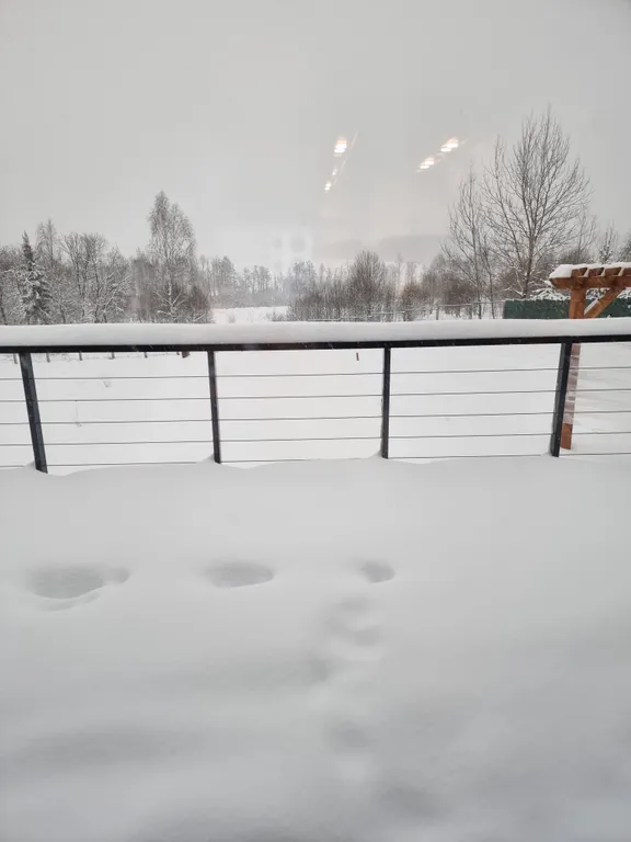 Дом с купелью и Беней