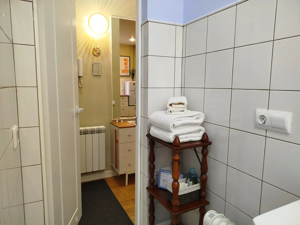 Квартира Апартаменты «Муза» в центре Калининграда | Амалиенау | До 3 гостей — Калининград