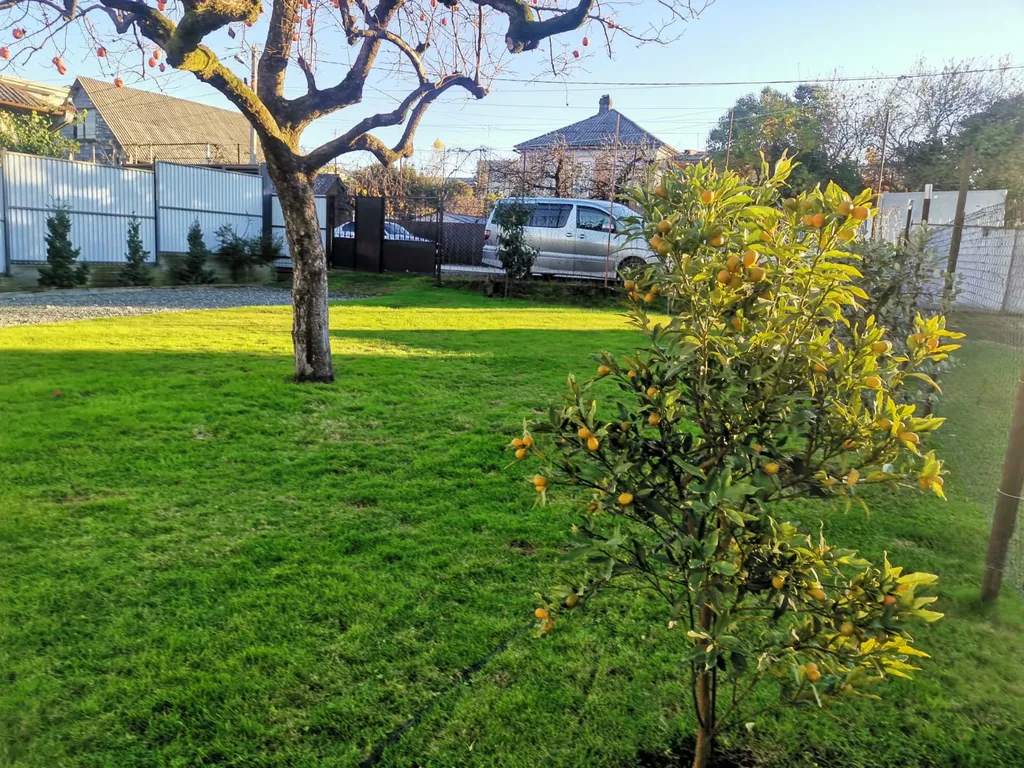 Дом под ключ с зелёной лужайкой и плодовыми насаждениями