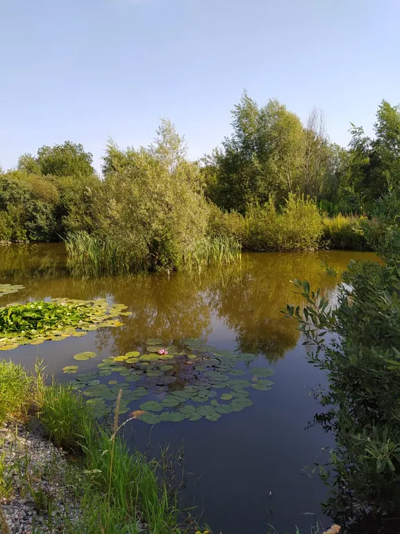 Просторный дом